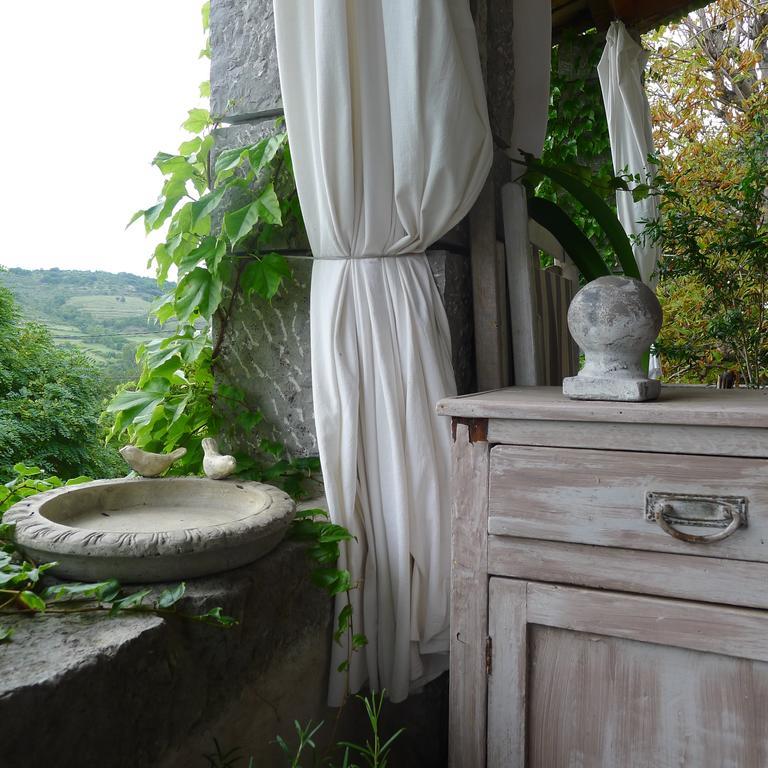 Hotel Domaine De La Manse Villeneuve-de-Berg Exteriér fotografie