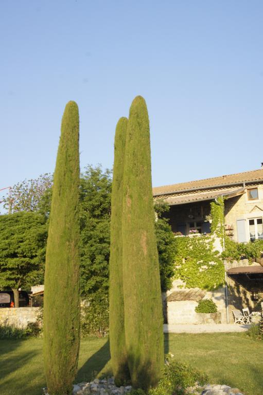 Hotel Domaine De La Manse Villeneuve-de-Berg Exteriér fotografie
